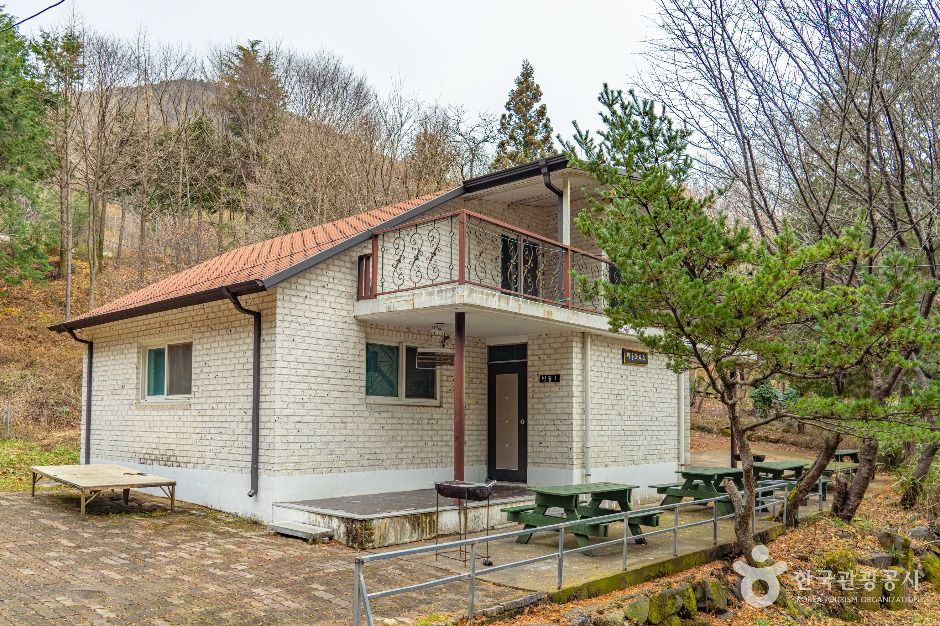 무등산편백자연휴양림