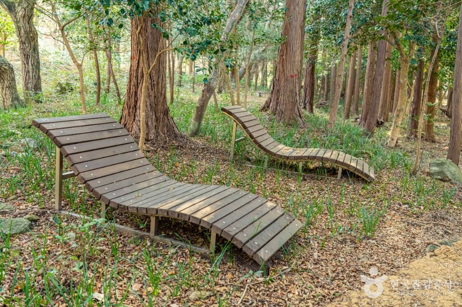 해남_대흥사계곡 (3)