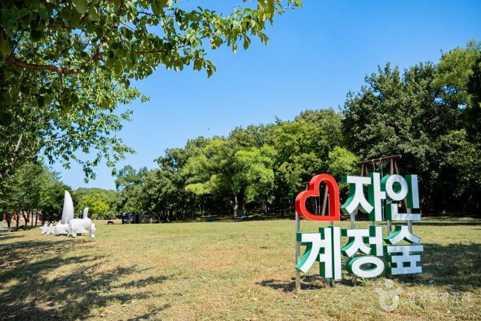 thumbnail-자인계정숲(경산 자인의 계정숲)-21