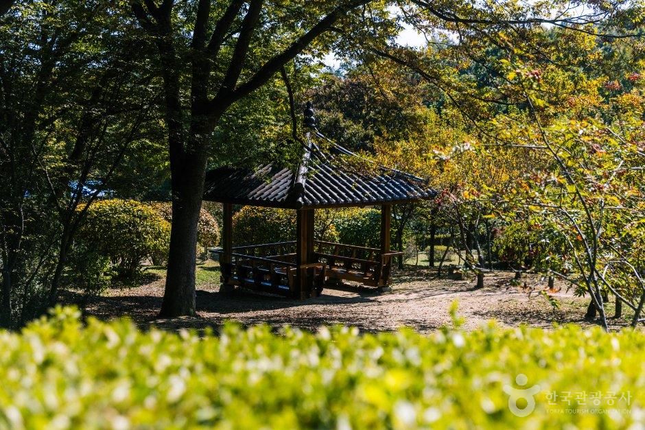 thumbnail-과천야생화자연학습장-9