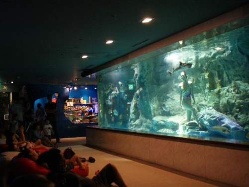 63 Sea World