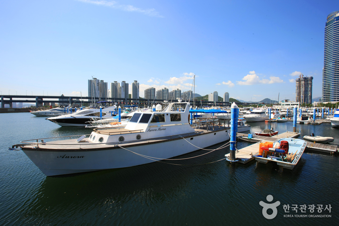 Centre de voile de la baie de Suyeong à Busan (수영만 요트경기장)5