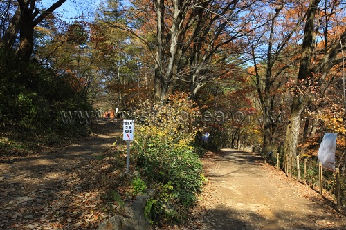 Guryongsa Temple (구룡사)