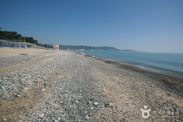 Gwanseong Solbat Beach (관성솔밭해변)