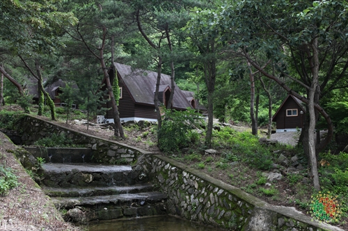 Bonghwang Natural Forest (봉황자연휴양림)