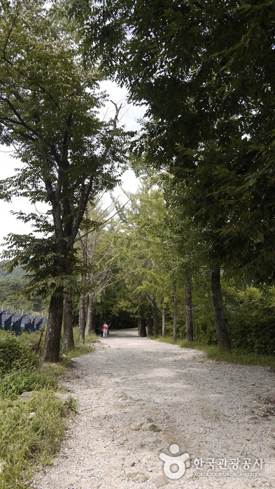 부석사(영주) 사진6