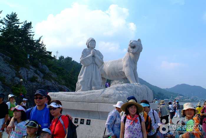 Jindo Mysterious Sea Route (진도 신비의 바닷길)
