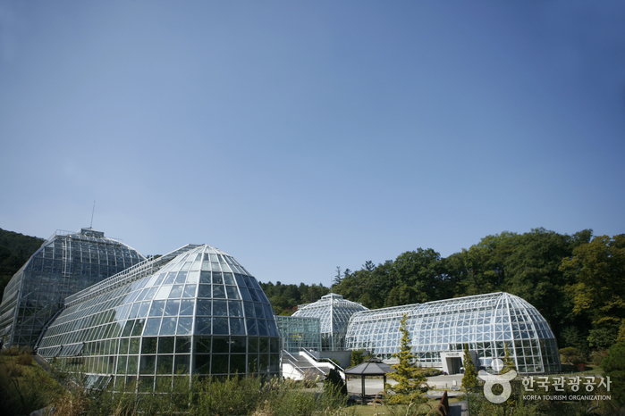 Arboretum national de Corée et musée de la forêt (국립수목원)