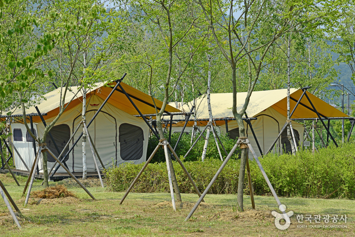 BFL 플레이파크1