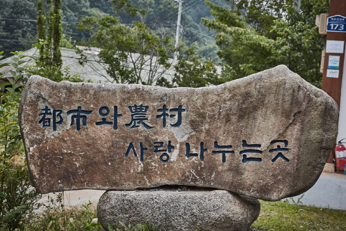 한국문화관광연구원_버섯구지마을_03