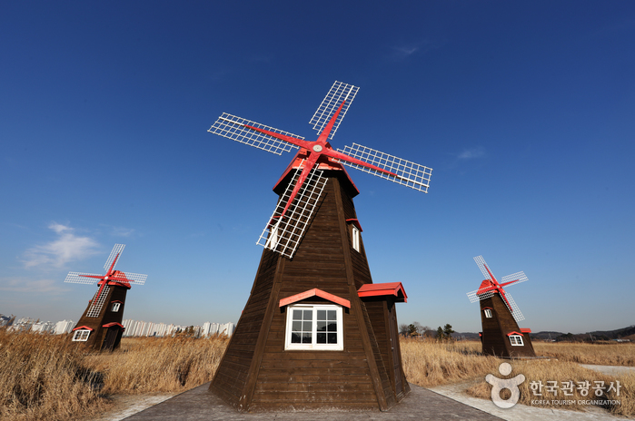 Sorae Marsh Ecological Park (소래습지생태공원)2