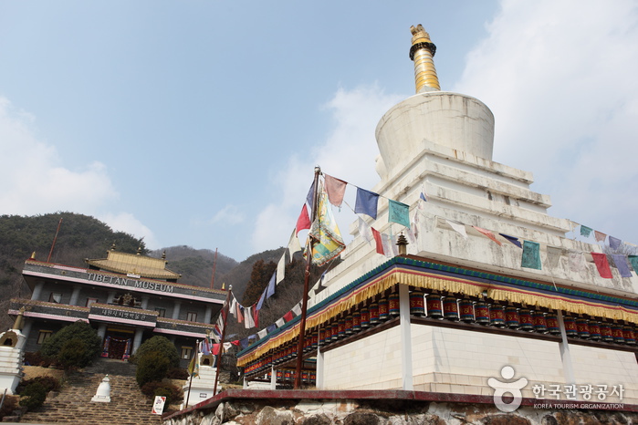 대원사 티벳박물관