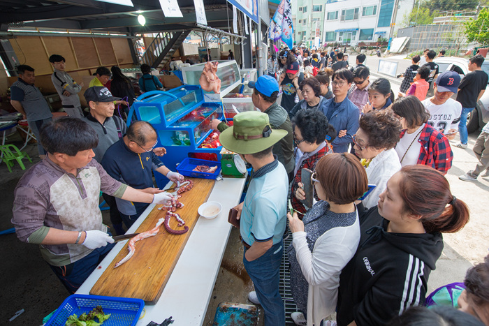 동해안 최북단 저도어장 대문어축제 20192
