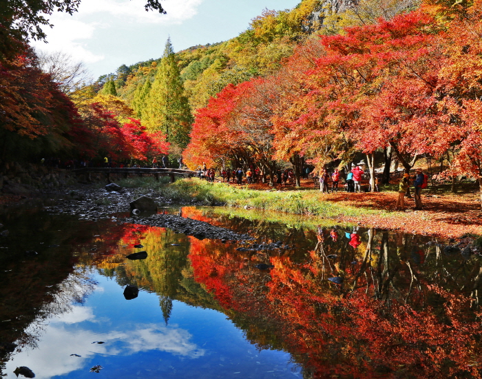 Parque Distrital del Monte Gangcheonsan (강천산군립공원)