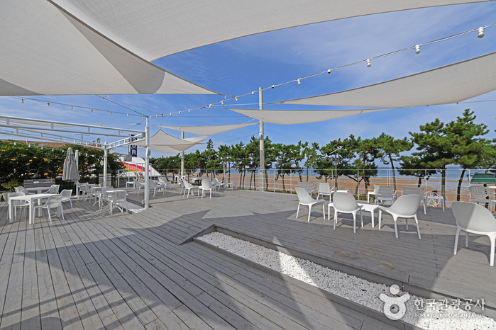 피노앤키오리조트(피노키오) [한국관광 품질인증/Korea Quality]6