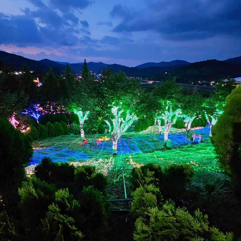 Cheongdo Provence Lighting Festival (청도 프로방스 빛축제)
