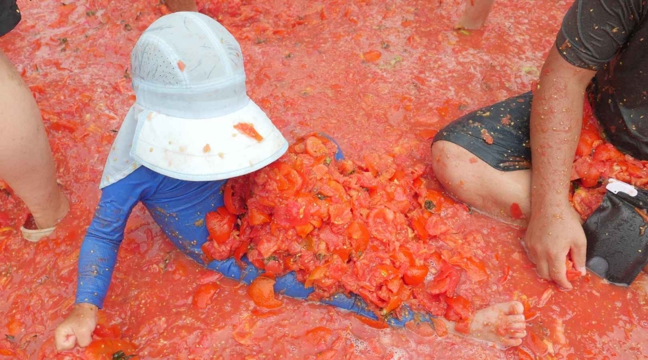 화천토마토축제