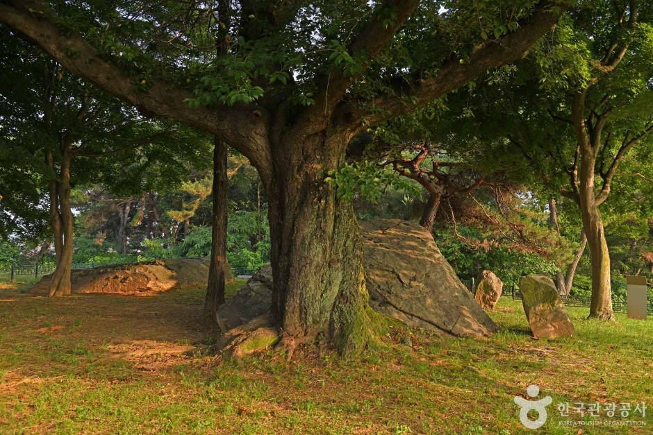 부여 산직리지석묘