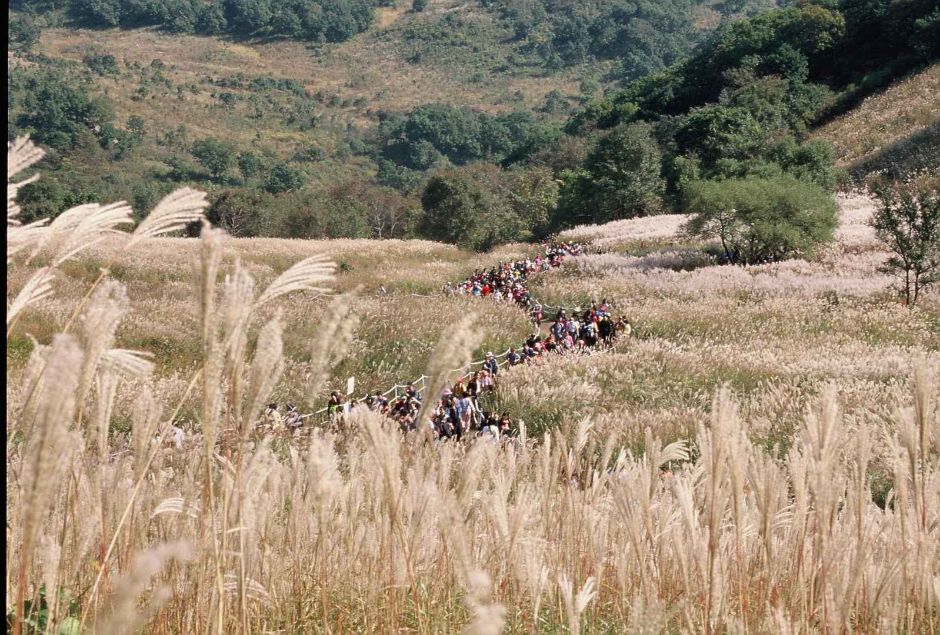 thumbnail-Sanjeonghosu Lake Myeongseonsan Mountain Eulalia Festival (포천 산정호수 명성산 억새꽃축제)-2