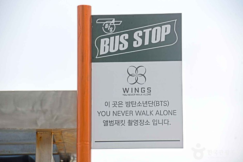 BTS Bus Stop (주문진읍 BTS 앨범사진 촬영지 (버스정류장))