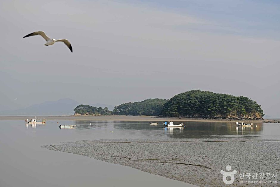 예단포선착장