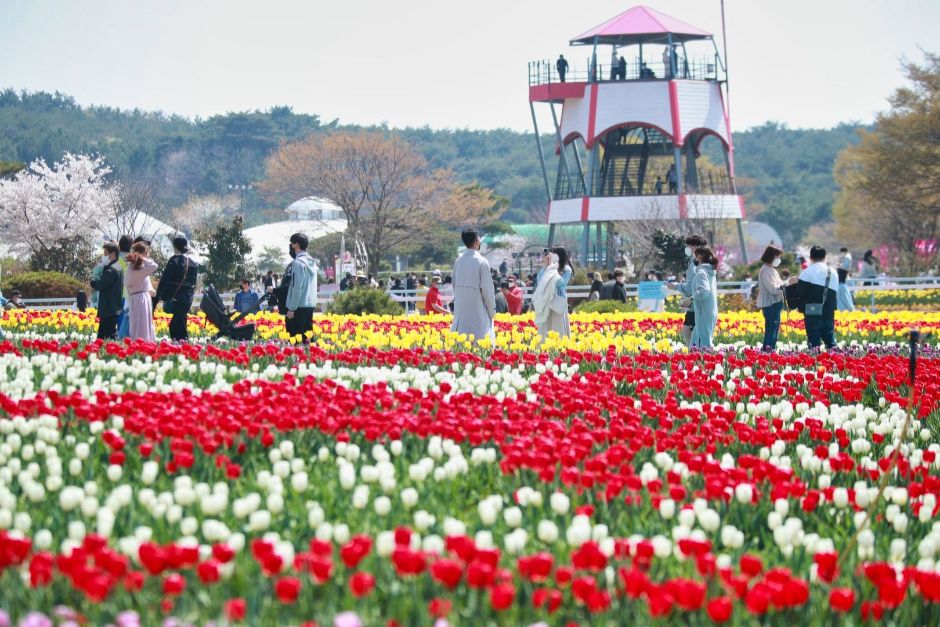 Korea Flower Park (코리아플라워파크)