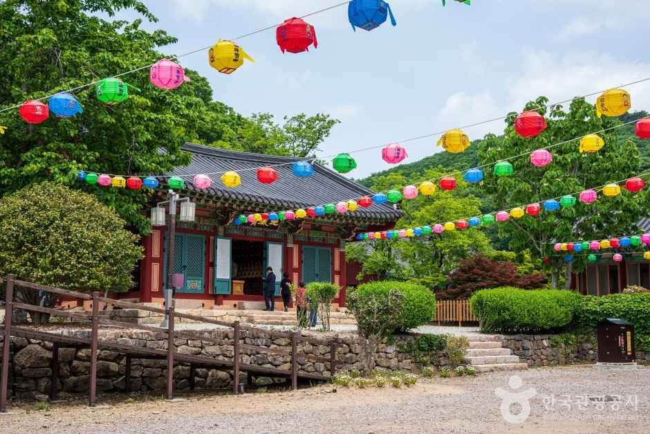 고창 선운사 (8)