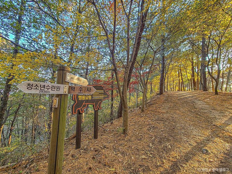 비봉산(안성)