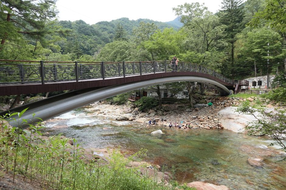 산청_대원사계곡길 (8)
