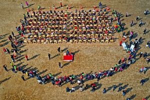 2025 청송사과축제 6