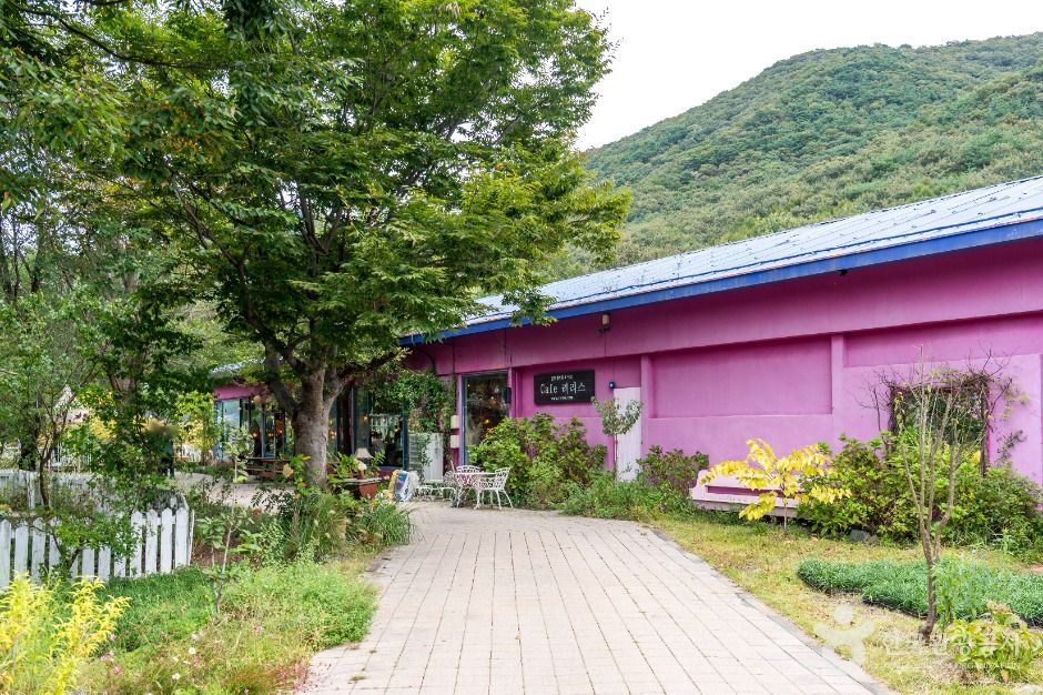 보령_개화예술공원 (4)