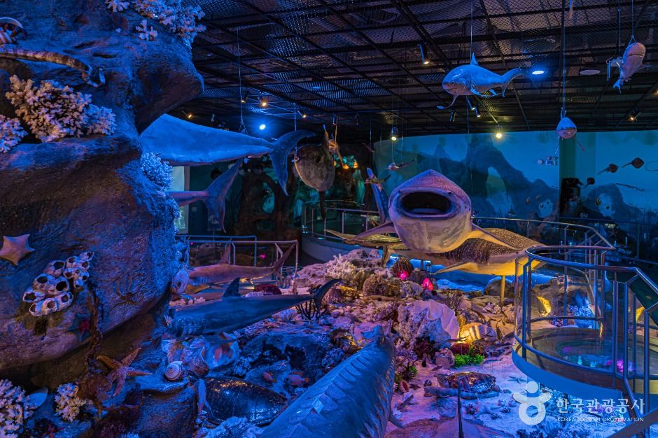 땅끝해양자연사박물관