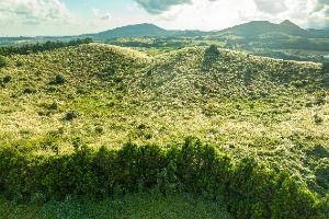 제주_손지오름 (7)