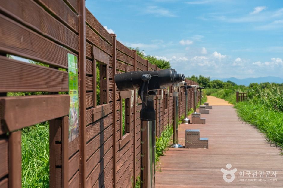 창원_주남저수지 철새도래지 (5)