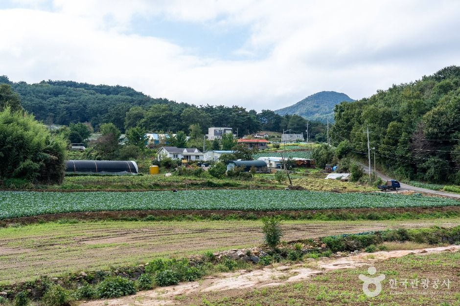 thumbnail-서산 꽃송아리마을-1