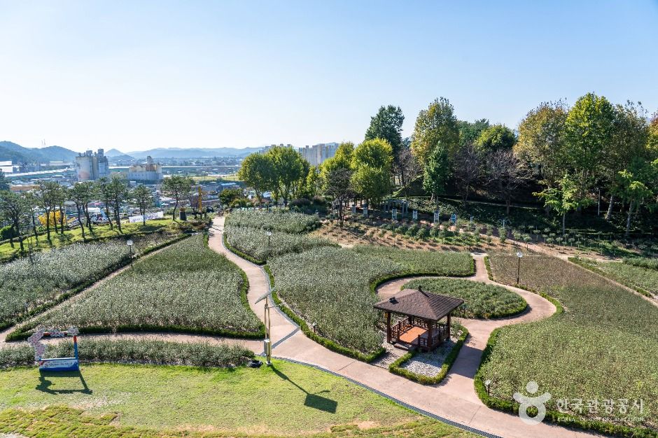 장성무궁화공원