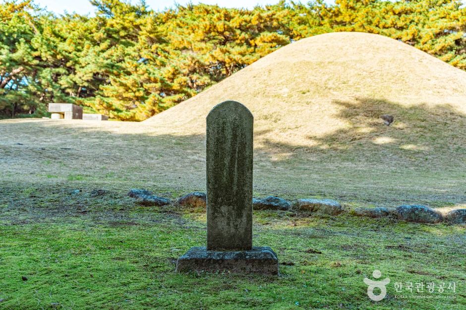 경주 배동 삼릉