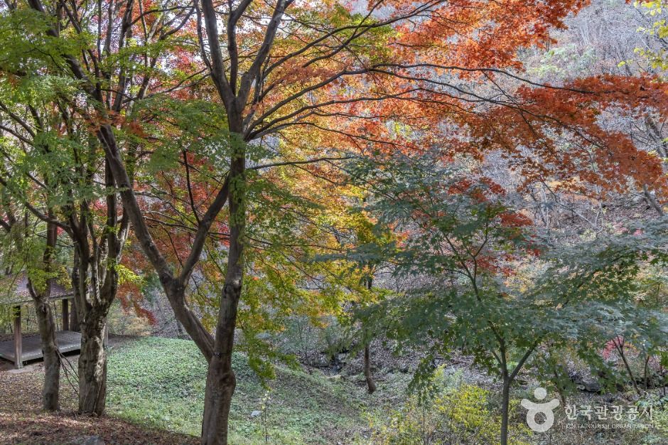 thumbnail-추월산-2