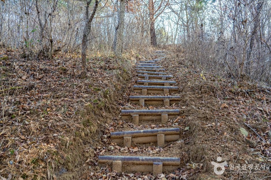 평창_고랭길 (7)