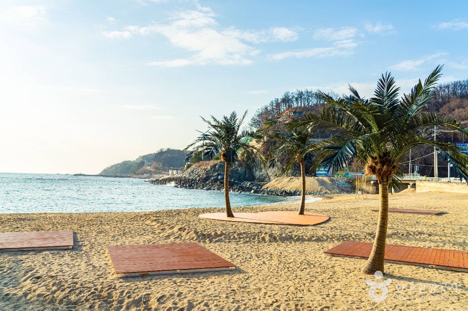 영덕_오보해수욕장 (2)