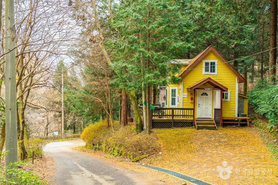 무등산편백자연휴양림