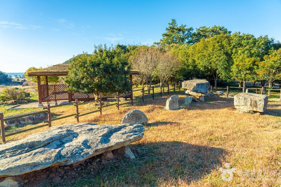 완도_읍리지석묘와 하마비 (4)