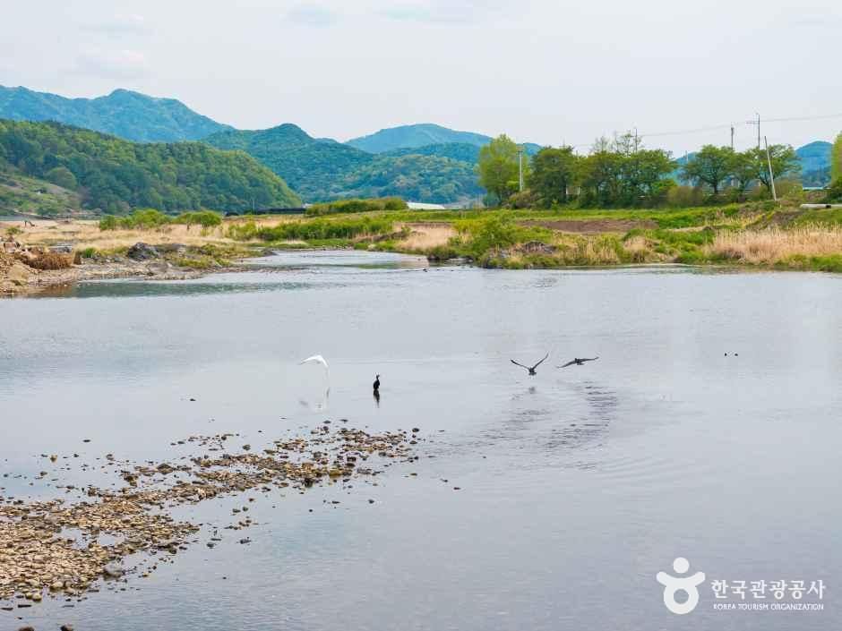 thumbnail-청천수변공원-4