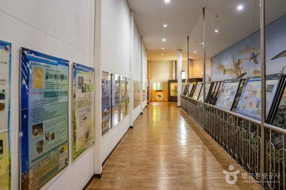 thumbnail-창조자연사박물관-5