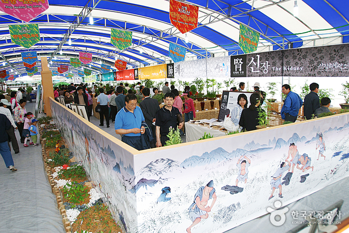 Sancheong Medicinal Herb Festival (산청 한방약초축제)