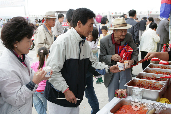 Ganggyeong Fermented Seafood Festival (강경 발효젓갈축제)