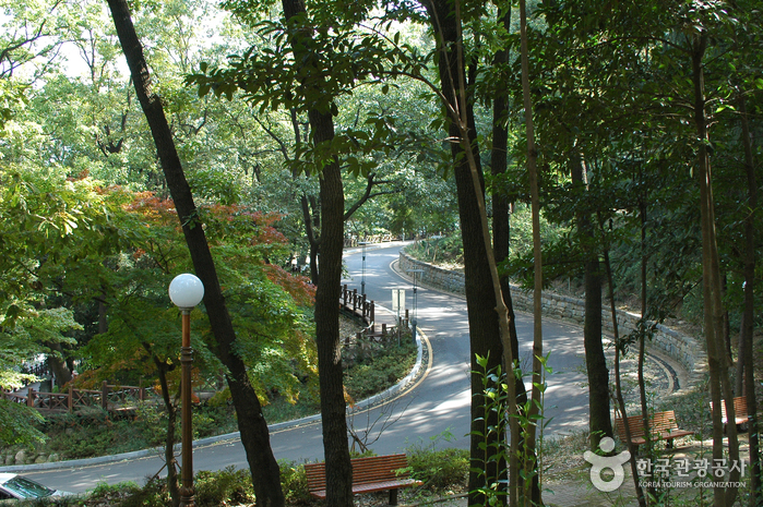 Sajik Park (Gwangju) (사직공원 - 광주)
