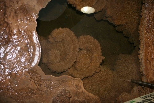 Höhle Cheondongdonggul (단양 천동동굴)