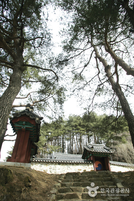 Uiyaji Wind Village (의야지 바람마을)
