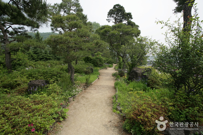 The Botanical Garden BCJ (Byeokchoji) (벽초지 문화수목원)